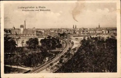 Ak Ludwigshafen am Rhein, Rheinbrücke, Walzmühle, Panorama