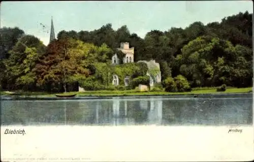 Ak Biebrich am Rhein Wiesbaden, Moosburg