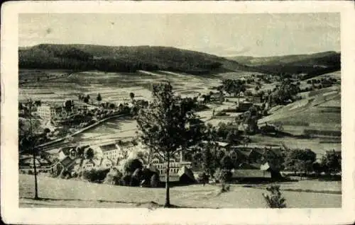 Ak Brunndöbra Klingenthal im Vogtland Sachsen, Panorama, Linkscher Grund