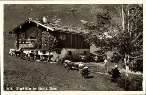 Ak Reit im Winkl, Glapf Alm mit Rinder Herde und Hausansicht