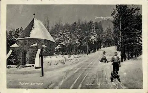 Ak Goslar am Harz, Rodelbahn, Steinberg, Steinberg-Hotel