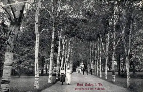 Ak Bad Sulza Thüringen, Birkenallee im Kurpark