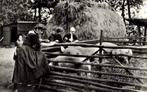 Ak Hierden Gelderland, Op de Veluwe, Bauernhof