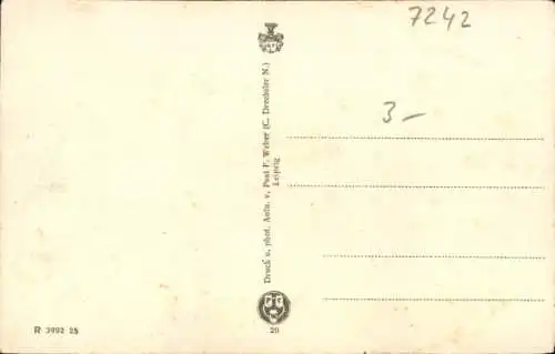 Ak Colditz in Sachsen, Totalansicht