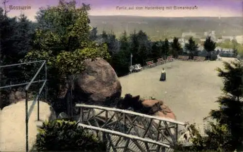 Ak Roßwein in Sachsen, Hartenberg, Bismarckplatz, Panorama