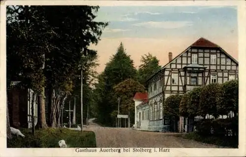 Ak Stolberg im Harz, Gasthaus Auerberg