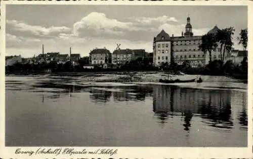 Ak Coswig in Anhalt, Teilansicht, Elbe, Schloss