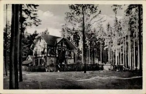 Ak Georgenthal in Thüringen, Blick zur Wechmarer Hütte, Wald