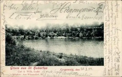 Ak Berlin Wilmersdorf Grunewald, St. Hubertus, Panorama