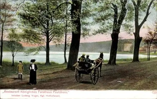 Ak Berlin Zehlendorf Dahlem, Restaurant Paulsborn, Inh. Ludwig Vogel, Kutsche, See