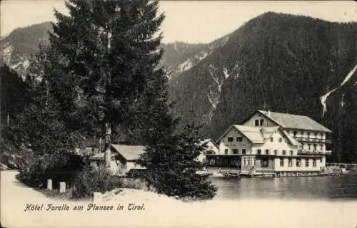 Ak Reutte Tirol Österreich, Hotel Forelle am Plansee