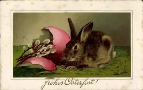 Ak Frohe Ostern, Osterhase mit zerbrochenem Osterei, Weidenkätzchen