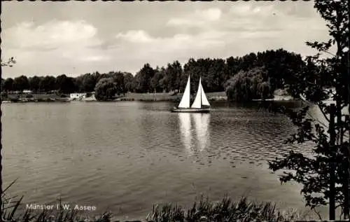 Ak Münster in Westfalen, Aasee, Segelboot