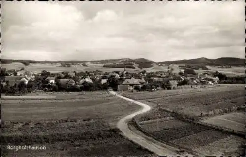 Ak Borgholzhausen in Westfalen, Gesamtansicht