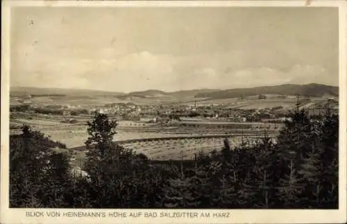 Ak Bad Salzgitter Harz, Blick von Heinemann´s Höhe, Panorama