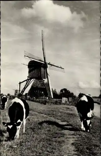 Ak Kinderdijk Molenwaard Südholland Niederlande, Mill