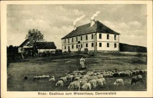 Ak Wildflecken in der Röhn Unterfranken, Dammersfeld, Gasthof zum Wiesenhaus