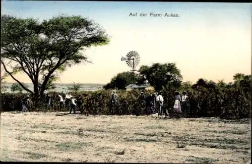 Ak Namibia Deutsch Südwestafrika, Auf der Farm Aukas