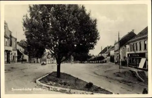 Ak Ernstbrunn in Niederösterreich, Straße, Baum, Häuser