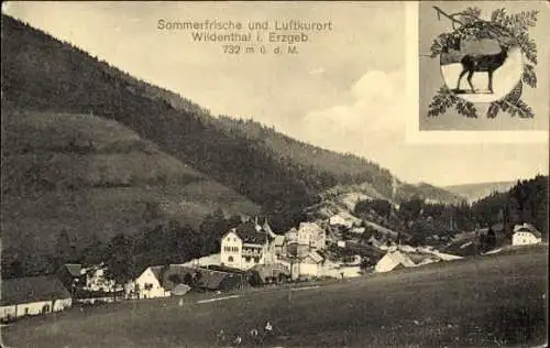 Ak Wildenthal Eibenstock im Erzgebirge, Gesamtansicht, Hirsch