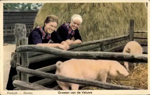 Ak Hoge Veluwe Gelderland Niederlande, Bäuerinnen in Tracht, Schweine