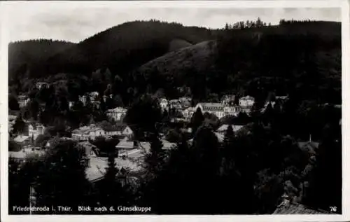 Ak Friedrichroda im Thüringer Wald, Teilansicht, Gänsekuppe