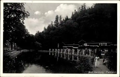 Ak Bad Harzburg am Harz, Parkteich