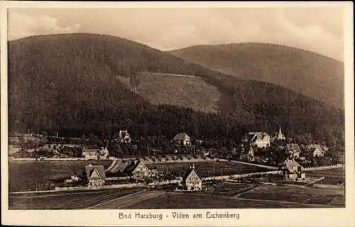 Ak Bad Harzburg am Harz, Eichenberg, Villen