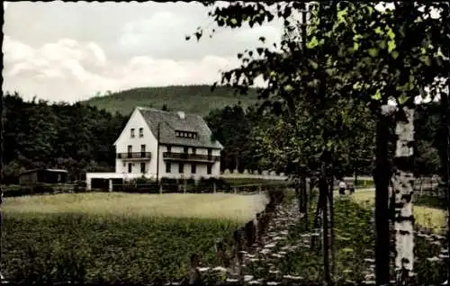 Ak Hardehausen Warburg in Westfalen, Haus Rehwinkel