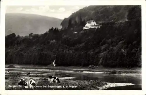 Ak Carlsbrunn Beverungen an der Weser, Konditorei und Café Bergschlösschen, Kühe