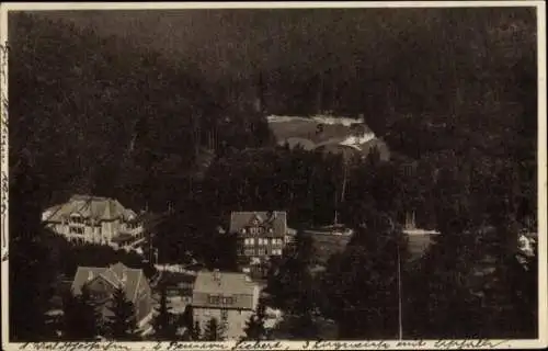 Ak Lautenthal Langelsheim im Oberharz, Waldschlösschen