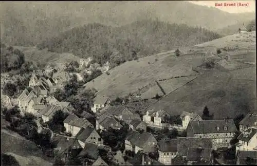 Ak Bad Grund im Harz, Gesamtansicht