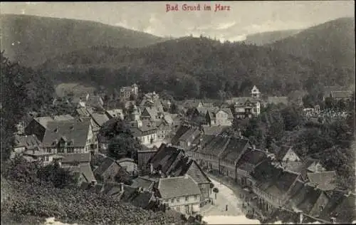 Ak Bad Grund im Harz, Gesamtansicht