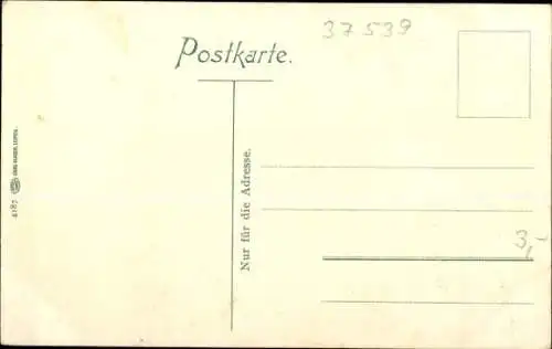Ak Bad Grund im Harz, Totalansicht