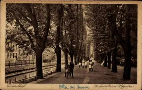 Ak Düsseldorf am Rhein, Seufzerallee, Hofgarten