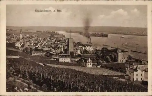 Ak Rüdesheim am Rhein, Panorama