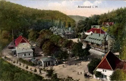 Ak Alexisbad Harzgerode am Harz, Gesamtansicht