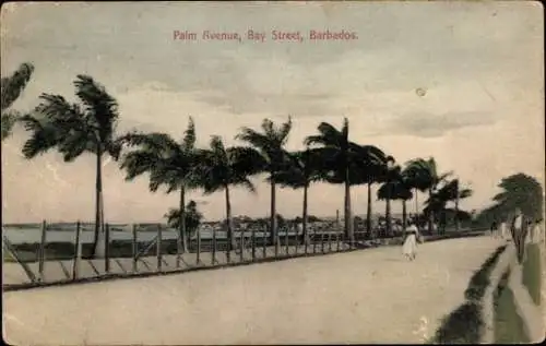 Ak Barbados, Palm Avenue, Bay Street