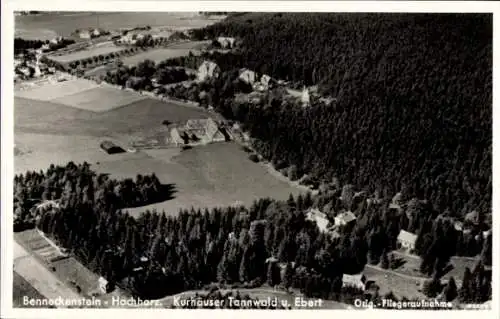 Ak Benneckenstein Oberharz am Brocken, Fliegeraufnahme, Kurhäuser Tannwald und Ebert