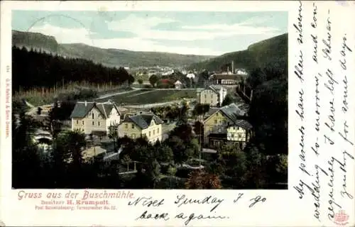 Ak Buschmühle Schmiedeberg Osterzgebirge, Ortspanorama, Gasthaus