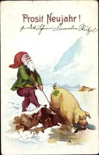 Litho Fröhliches Neujahr, Zwerg, Schwein