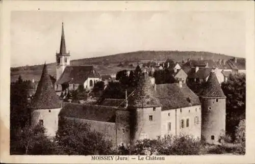 Ak Moissey Jura, Schloss