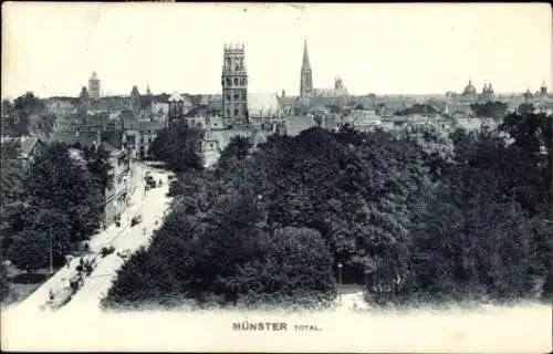 Ak Münster in Westfalen, Totalansicht von Ort, Kirche