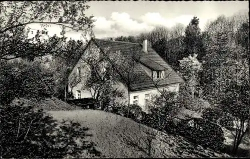 Ak Bad Driburg in Westfalen, Pension Haus Bergmann