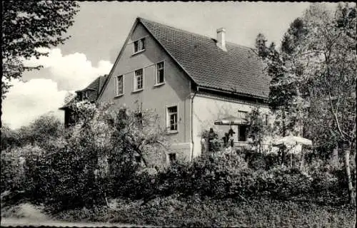 Ak Bad Driburg in Westfalen, Pension Haus Bergmann