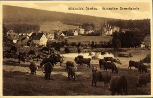 Ak Hahnenklee Goslar Oberharz, Hahnenkleer Damenkapelle, Kuhweide