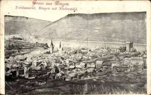 Ak Bingen am Rhein, Totalansicht mit Niederwald