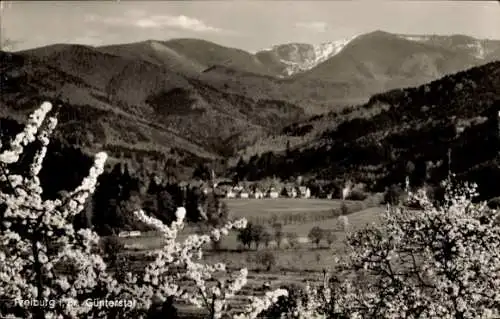 Ak Günterstal Freiburg im Breisgau, Panorama