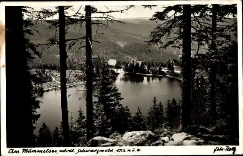 Ak Mummelsee Seebach im Schwarzwald Baden, Panorama