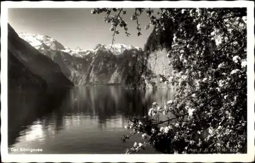 Ak Königsee Königssee Oberbayern, Panorama